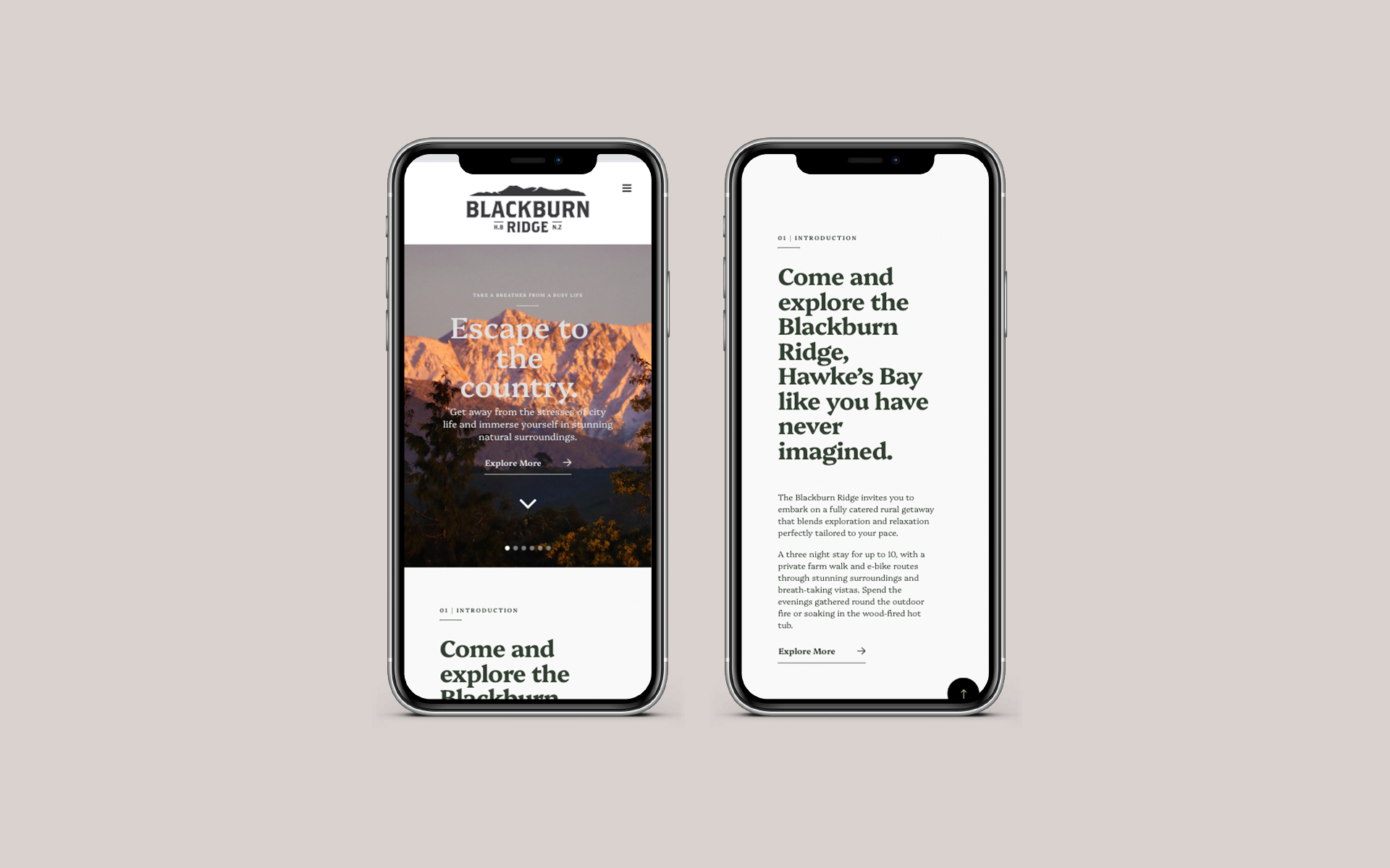 Blackburn Ridge Brand Design.