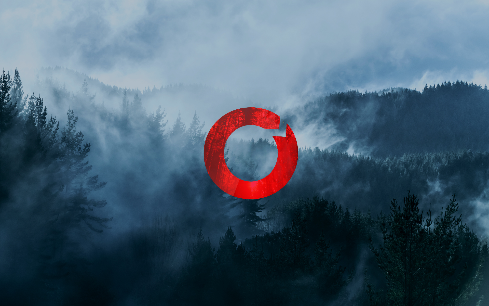 Forest 360 Brand.